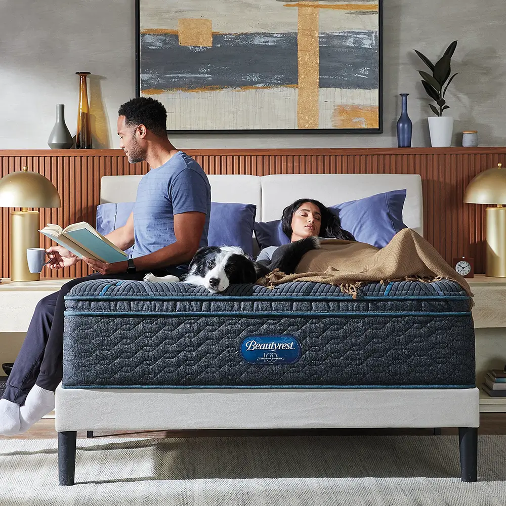 Couple and dog on a Beautyrest mattress