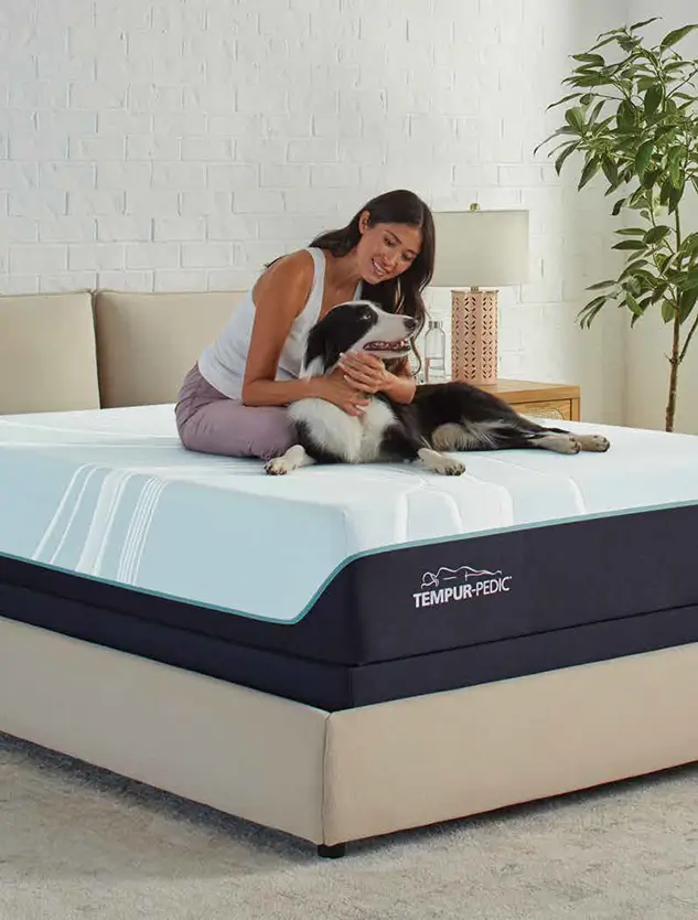 Woman and dog on mattress