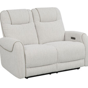 300 Reclining Loveseat